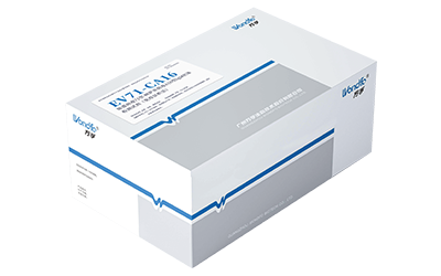 手足口(EV71-CA16lgM)